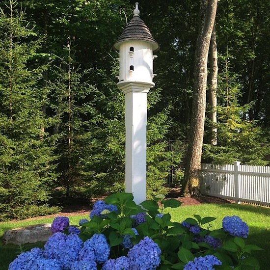 hydrangeas, birdhouse, backyard, white fence