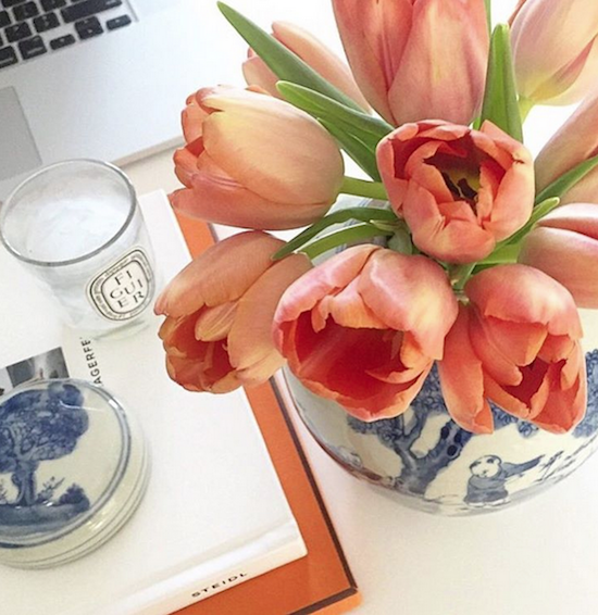 coral tulips in a vase