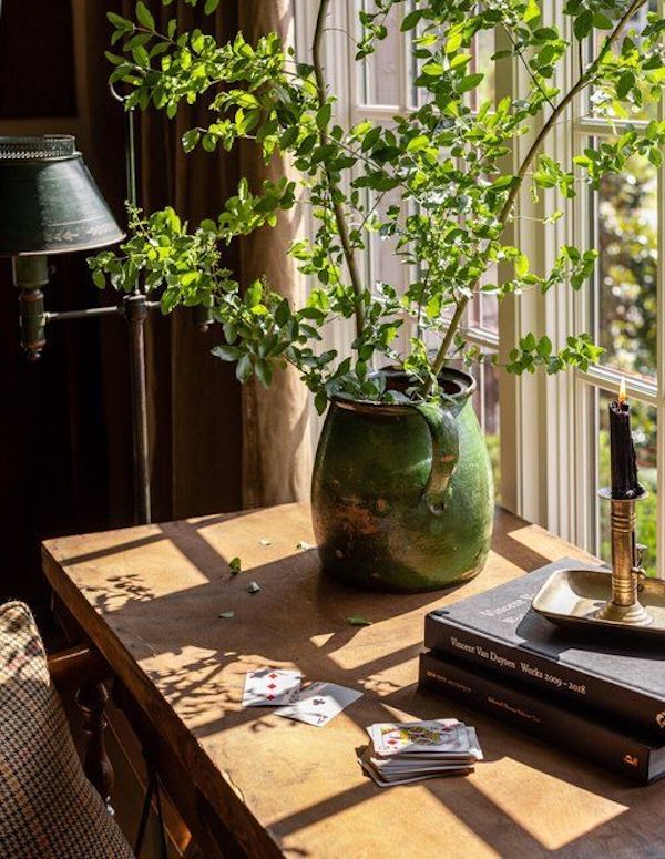 greenery in windowsill with sunlight streaming in.