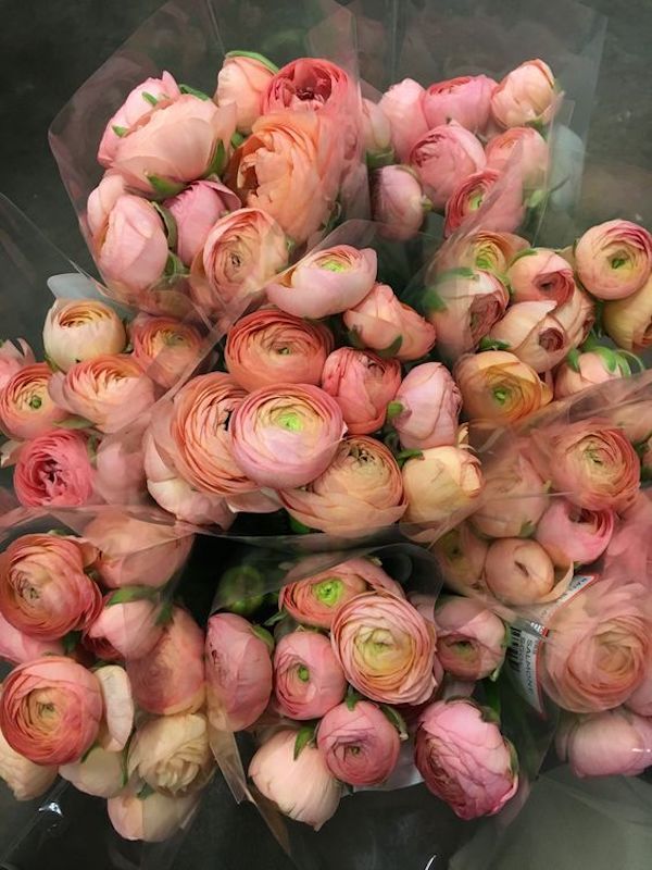 pink ranunculus royal wedding bouquets