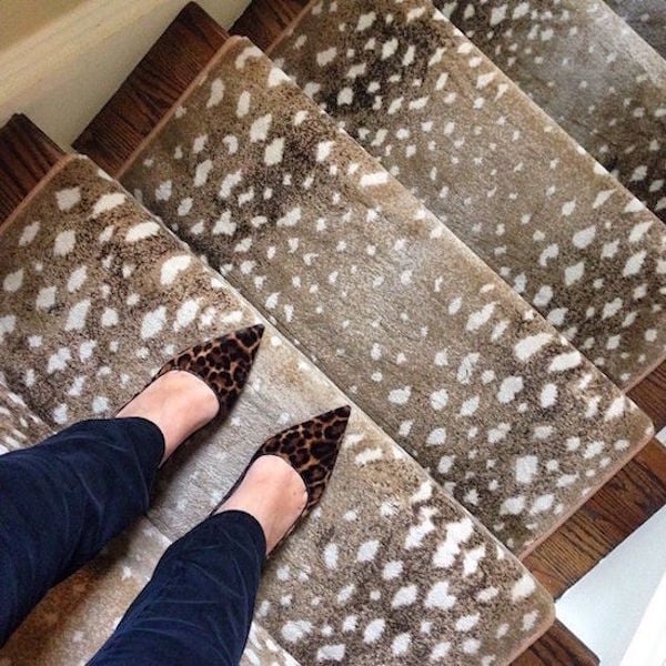 Classic Antelope Print on stairs