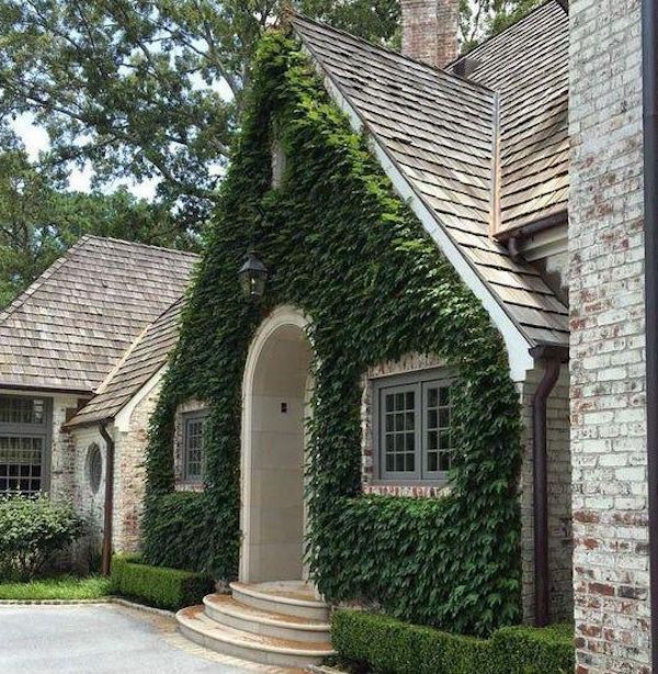 ivy covered front facade of home