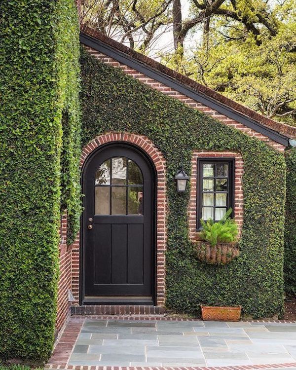 ivy vines on brick exterior walls of tudor home