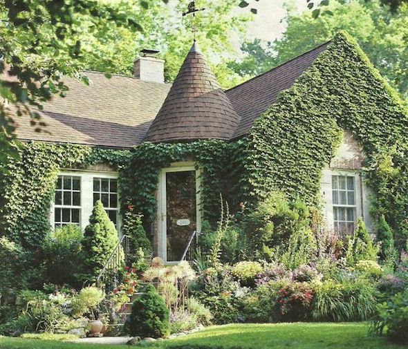 English Ivy on house with a turret English Ivy on house with a turret