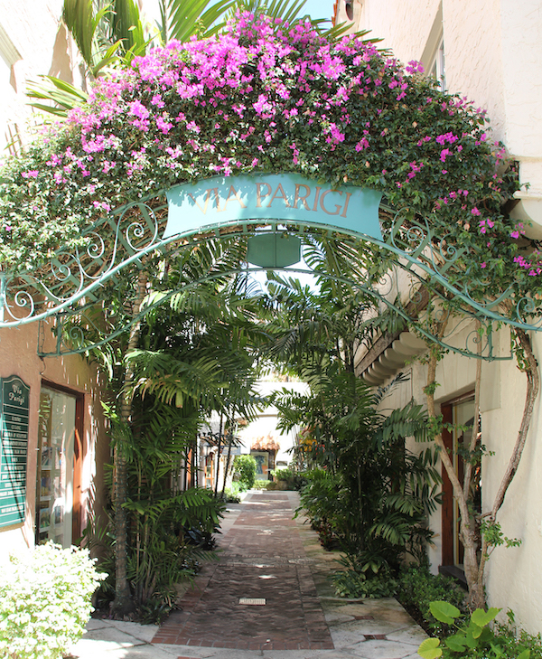 bouganvilia arch in palm beach.