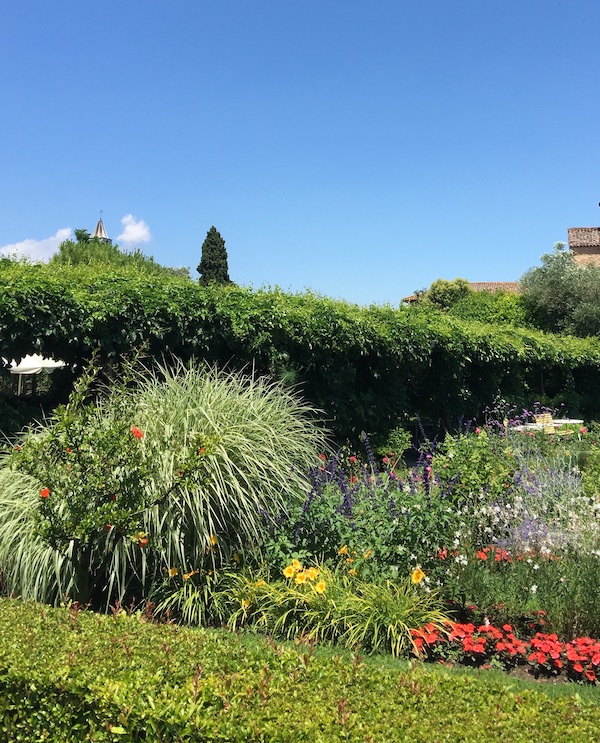 flowers in a landscape garden with blue sky.