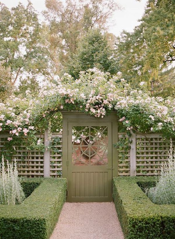 garden gate with boxwood hedges.