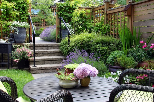 Small townhouse perennial summer garden.